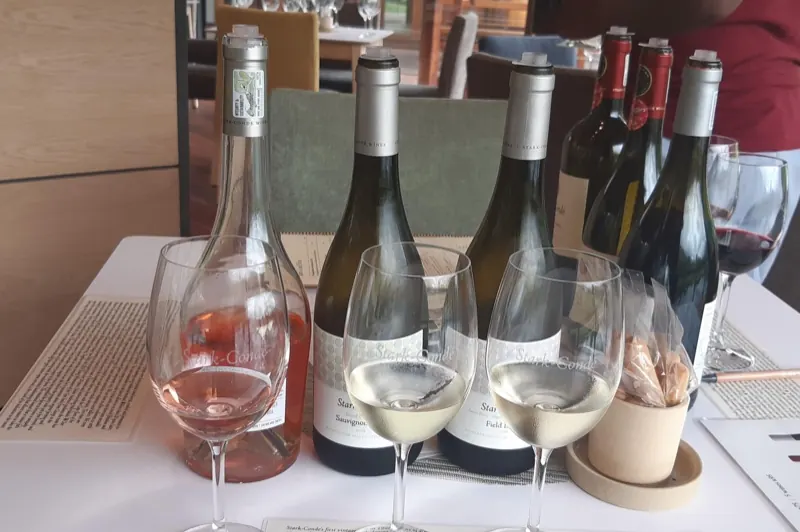 A tasting flight of rosé and white wines with their bottles on a table